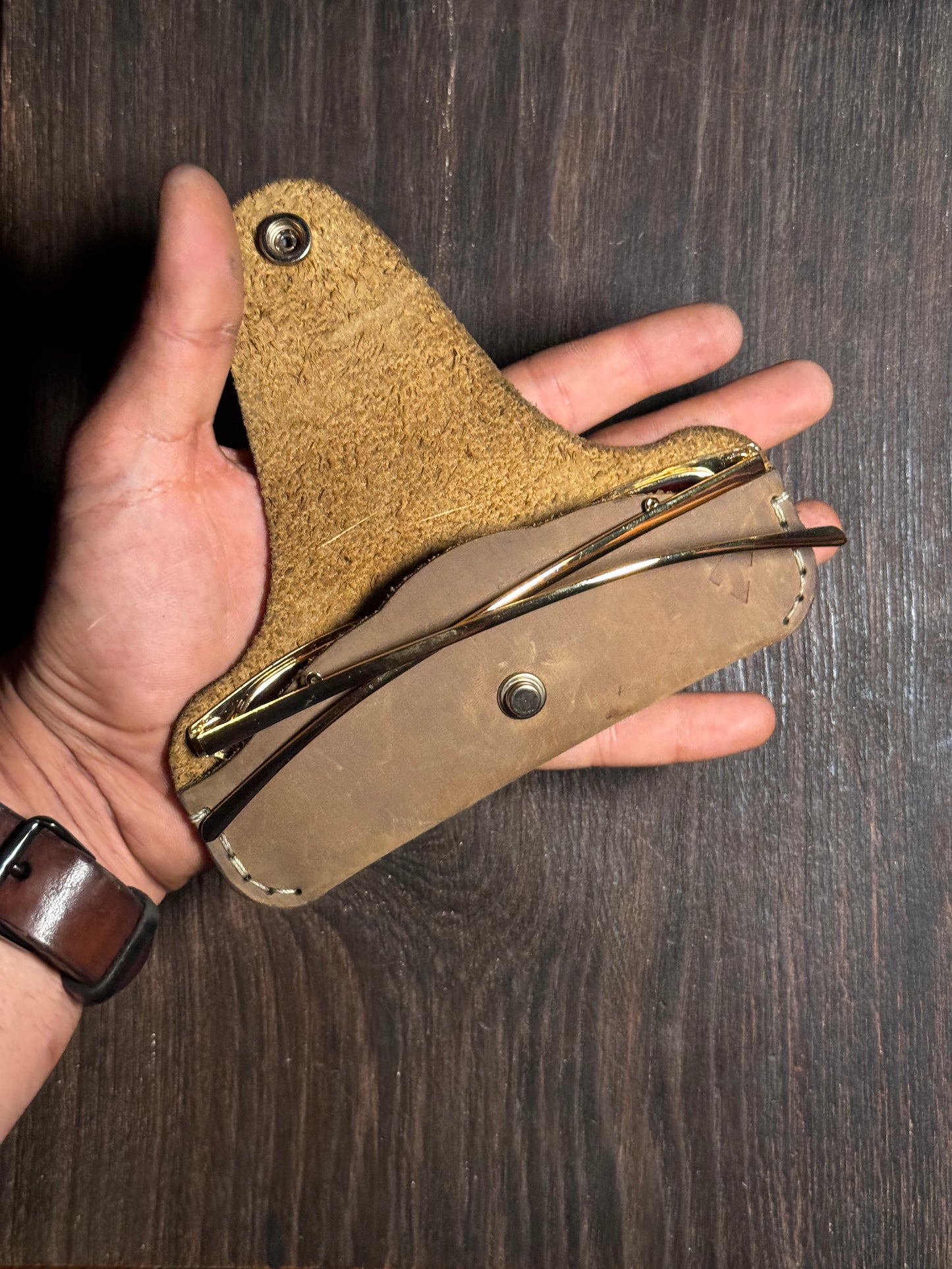 A pocket carry specase1 for regular diffrent eyewears