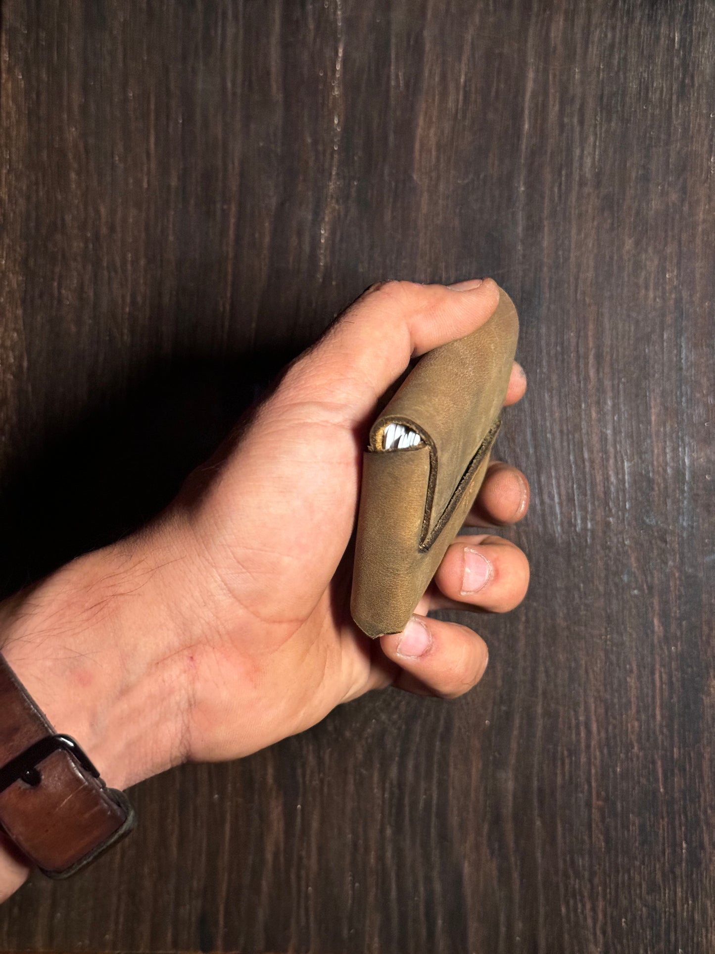 horistitchless card holder for upto 12 cards